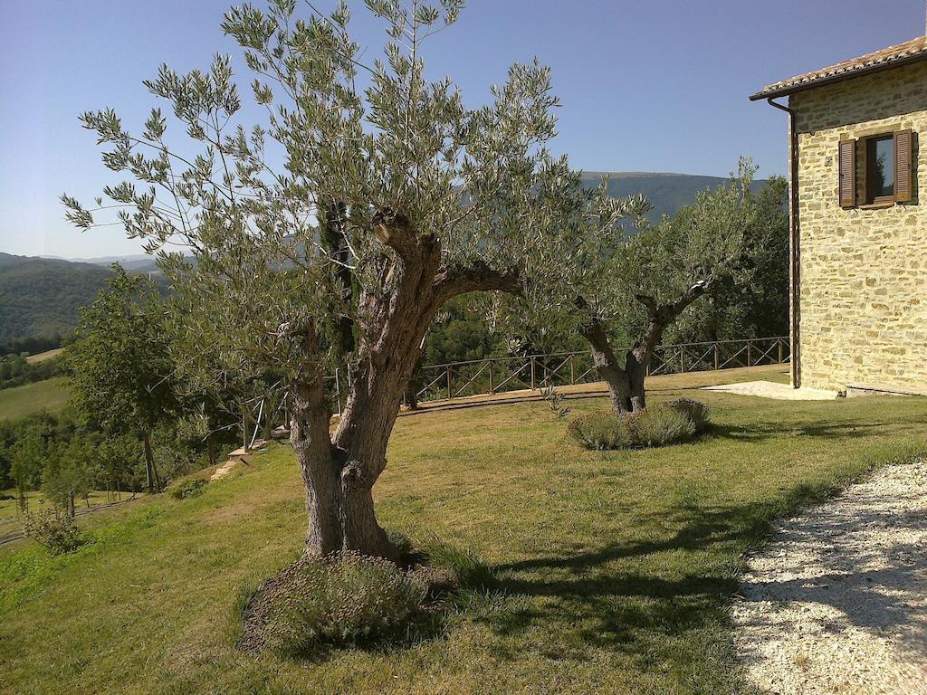 Agriturismo Paradiso 44 Ассизи Экстерьер фото