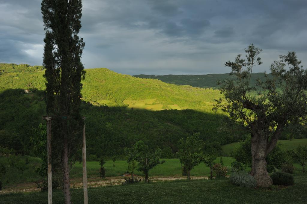 Agriturismo Paradiso 44 Ассизи Экстерьер фото