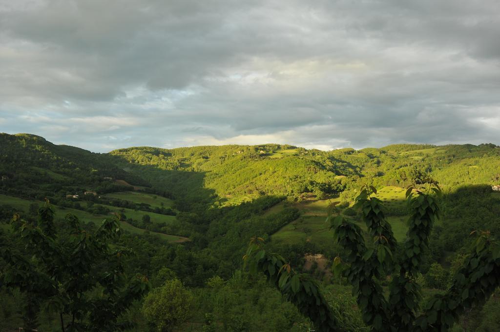 Agriturismo Paradiso 44 Ассизи Экстерьер фото