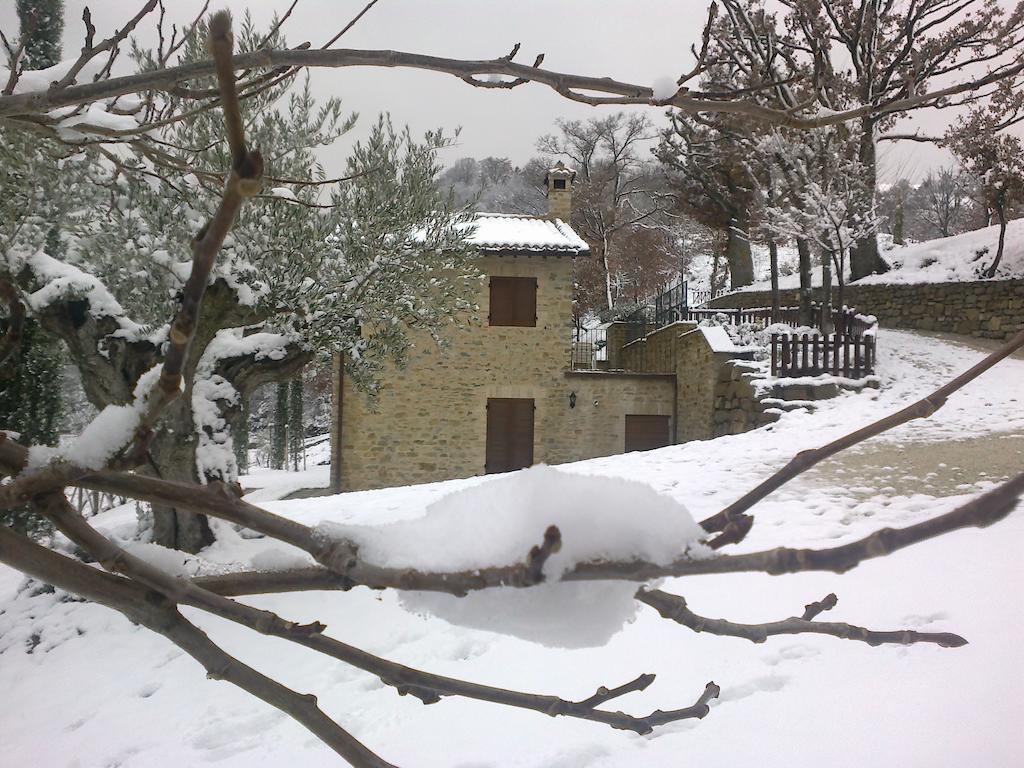 Agriturismo Paradiso 44 Ассизи Экстерьер фото
