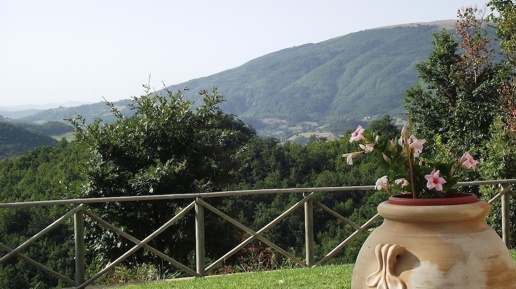 Agriturismo Paradiso 44 Ассизи Экстерьер фото