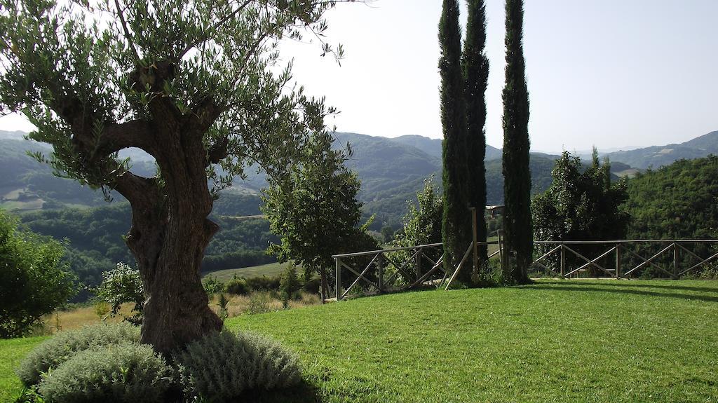Agriturismo Paradiso 44 Ассизи Экстерьер фото