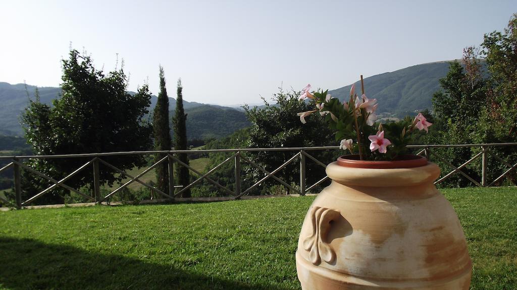 Agriturismo Paradiso 44 Ассизи Экстерьер фото