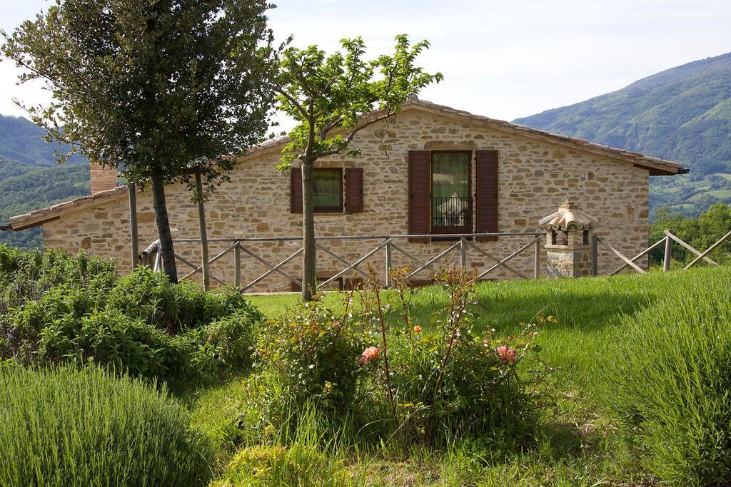 Agriturismo Paradiso 44 Ассизи Экстерьер фото