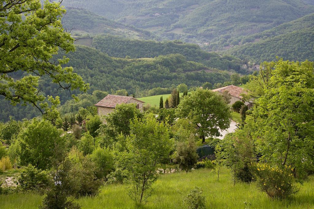 Agriturismo Paradiso 44 Ассизи Экстерьер фото