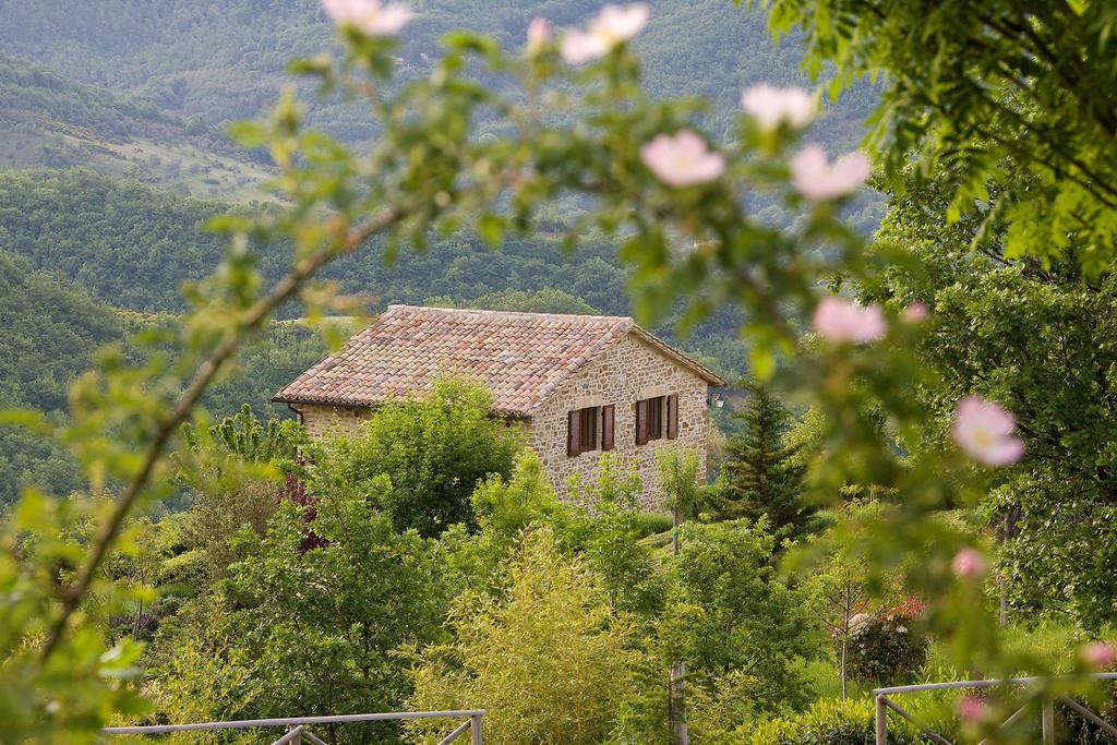 Agriturismo Paradiso 44 Ассизи Экстерьер фото